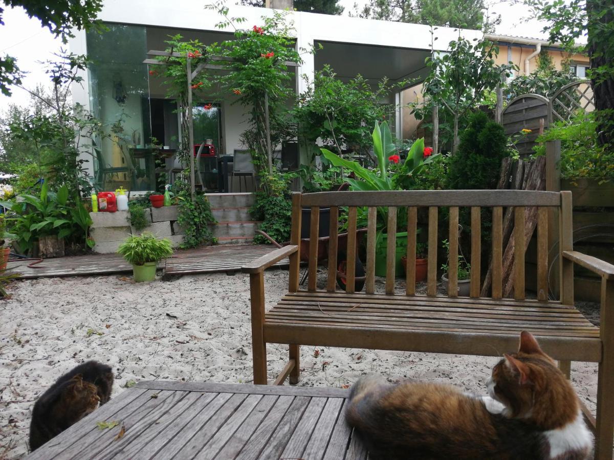 Le Relais De La Praya Bed and Breakfast Lège-Cap-Ferret Buitenkant foto