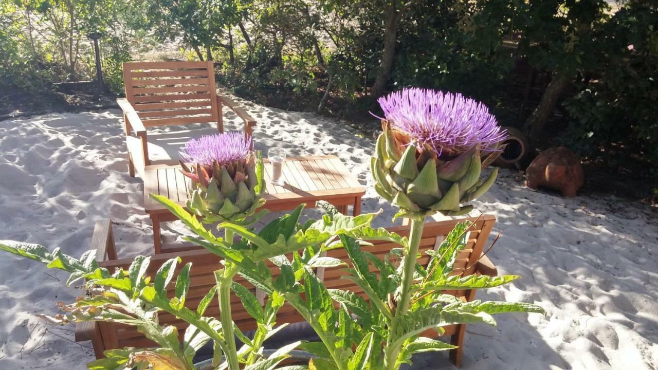 Le Relais De La Praya Bed and Breakfast Lège-Cap-Ferret Buitenkant foto
